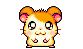 image link